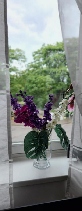 Elena Flat Orchidee Duisburg Zentrum Exterior photo